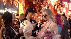 УДИВИТЕЛЬНАЯ ПРОГУЛКА ПО МОСКВЕ — Самые дорогие и стильные улицы столицы | Малая Бронная