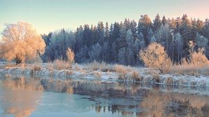 Финал ноября. Музыкальная открытка.