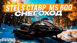 Снегоход STELS MS600T (SWT ST) СТАВР