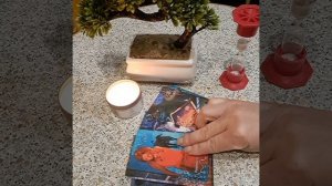 В ДОМЕ ВРАГА.....