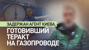 ФСБ предотвратила готовившийся Киевом теракт на газопроводе в Подмосковье