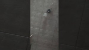 Реборн Илона