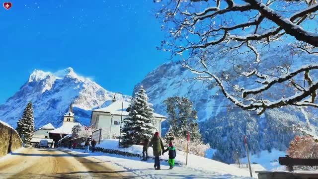 Утренняя поездка в Гриндельвальд после сильного снегопада ☃️