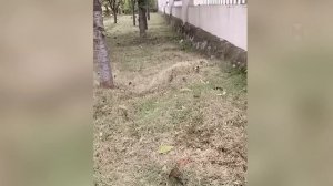 Камера Сняла Такое, что Невозможно Объяснить!