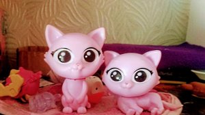 ПРИЮТ: 2 СЕРИЯ "НОВЕНЬКИЕ В ПРИЮТЕ ИЛИ КОШКА БЕЗ ВОРОТНИКА." и кое - что ещё.