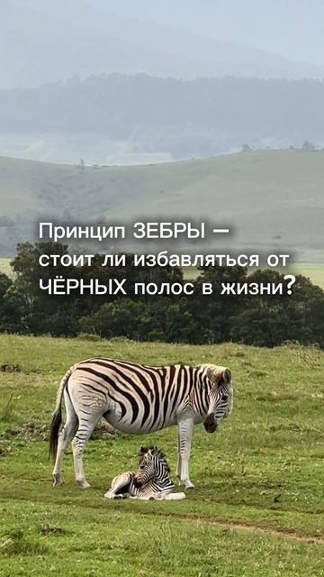 Используй черные полосы для усиления себя