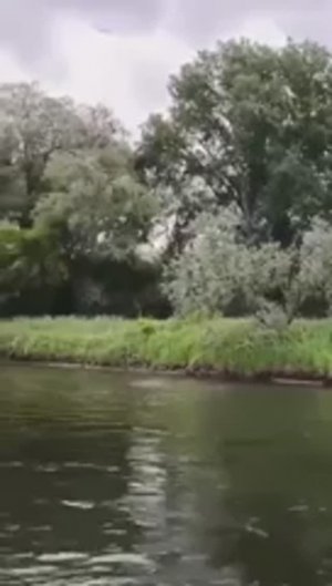 Просто видео путешествия по реке