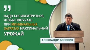 Александр Боровик о рентабельной пшенице в условиях низких цен ┃НЦЗ им. П.П.Лукьяненко