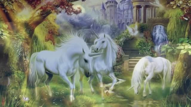 Там целый мир