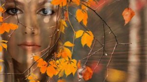 Ноябрь закрывает дверь за осенью. Музыкальная открытка.