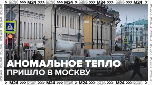 В Москву пришло аномальное тепло в последние дни осени - Москва 24