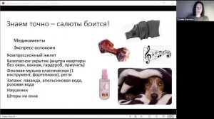 Домашние любимцы . Занятие от 28.11.2025. Педагог Дарченко Татьяна Олеговна