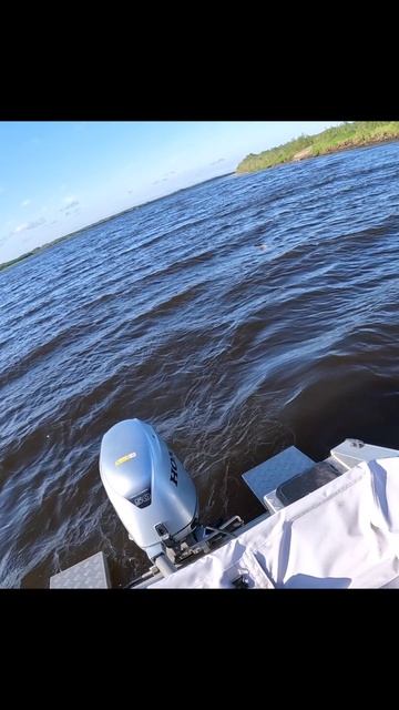 Щука другого уровня!