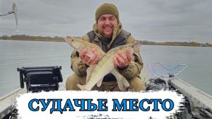 СУДАЧЬЕ МЕСТО / РЫБАЛКА НА ХИЩНИКА С ЛОДКИ  / МАНЫЧ