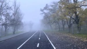 ОДЕССА 29 НОЯБРЯ 2025. ЕРМАК ИДЕТ НА ФРОНТ😄! ЕЩЕ 170 УГОЛОВНЫХ ДЕЛ ЕРМАКА! ЭТО-ТОЛЬКО НАЧАЛО!