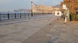 73.Новый этап жизни