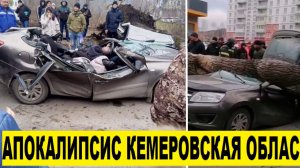 Апокалипсис в Прокопьевске Кемеровская область,ураган снес все 19.11.23/ураган баарын талкалады