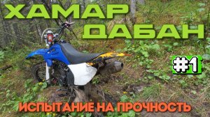 ИДЁМ В ДОЖДЕ И ТУМАНЕ | БРОШЕННЫЙ ЭНДУРО НА ХАМАР-ДАБАНЕ | ИЮНЬ 2025