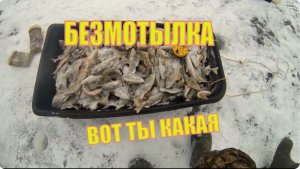 Ловля Окуня Зимой на Безмотылку
