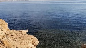 Погода в Шарм эль Шейхе