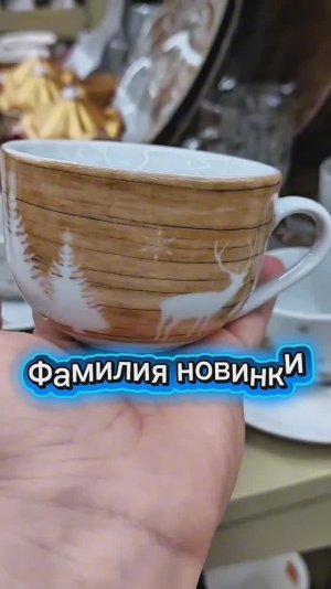 Классные новинки не Фикс Прайс в Фамилии товары к Новому году,завлекает искушает прельщает новинками