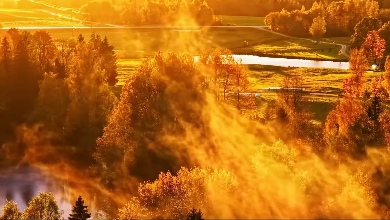 Осенний ноябрь 4К - Последние краски осени | Мирный, расслабляющий фильм о природе🍂