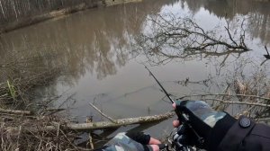 В поисках Ротана на пруду в лесной глуши.