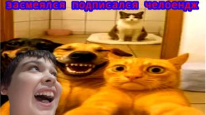 ЗАСМЕЛСЯ, ПОДПИСАЛСЯ ЧЕЛЛЕНДЖ!!