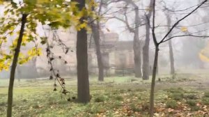 ОДЕССА 29 НОЯБРЯ 2025. КОНФЕРЕНЦИЯ ХРАБРЫХ! МЛАДШЕГО БАЙДЕНА ПОСАДЯТ! 5 ЛЕТ ТЮРЬМЫ ЗА РЕПОСТ