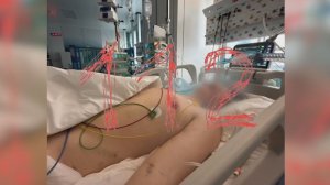 В СК сообщили о задержании владелицы незаконного рехаба в Подмосковье