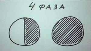 Мнения огородников о лунном календаре