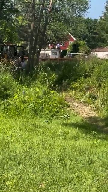 Натворили делов