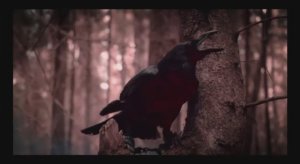 Bad Dwyer - Ворон