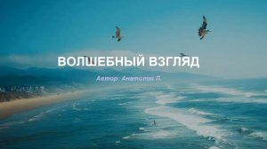 ВОЛШЕБНЫЙ ВЗГЛЯД