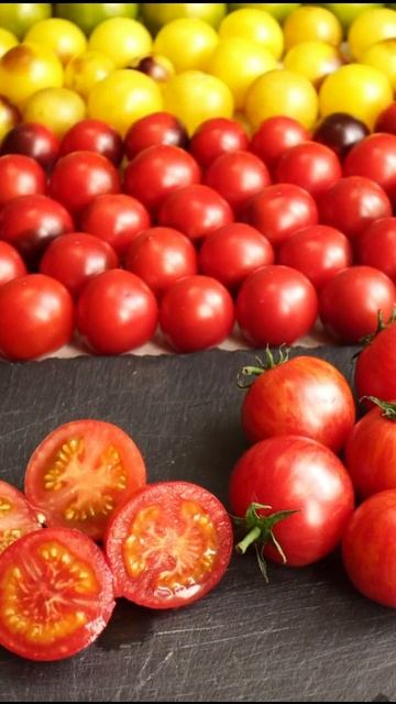 Томаты черри коктейльные Россия | Small Garden's