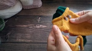 СП ,,Носочный блюз осени,, 2сезон.С Еленой Велиной.Итоги.