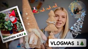 VLOGMAS 1: выбираем ёлку 🌲 рождественский шопинг 🛒 обзор покупок 🛍️  METRO, DM, Action