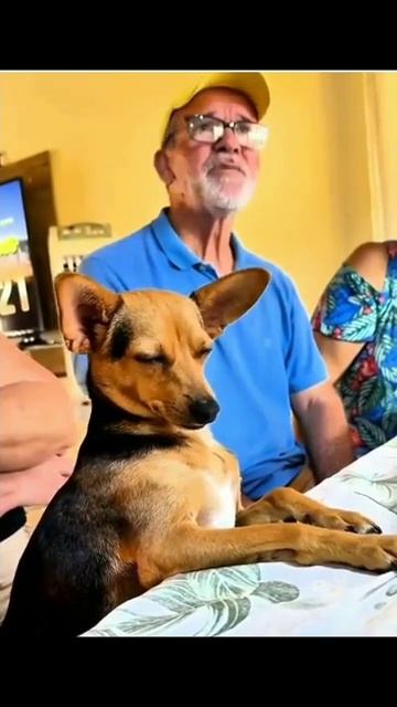 Это ты на планерке