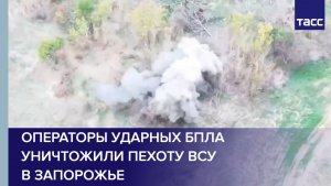 Операторы ударных БПЛА уничтожили пехоту ВСУ при попытке ротации в Запорожье