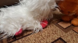 КОШЕЧКА 💗💞