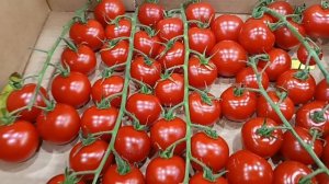 #прогулка в торговом центре в Брянске #сколько всего красивого