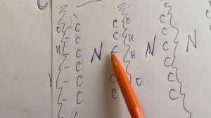 Ошибки традиционного земледелия. Часть первая.