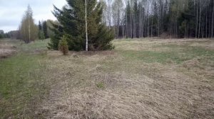 14. Металлокоп с Quest X5. Первый выезд в мае. Трудовой поиск как он есть.