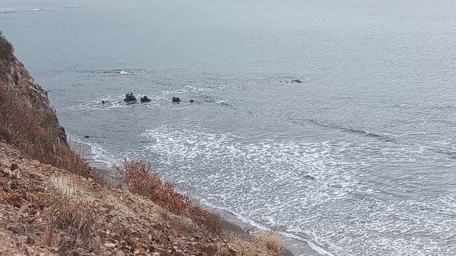 Ежедневный моцион с собакой. смотреть онлайн