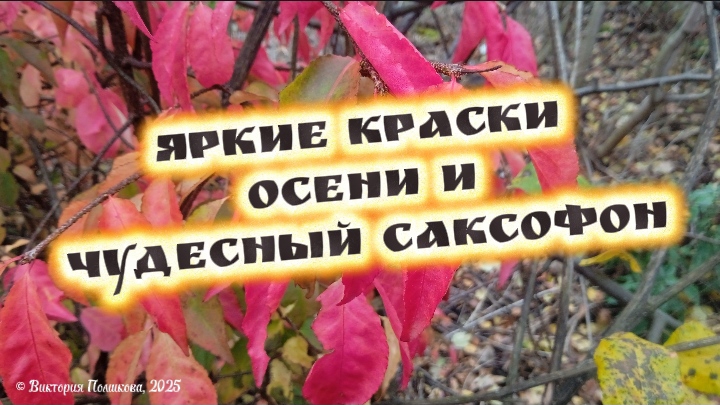 Яркие осенние краски и чудесный саксофон