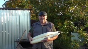 Зачем полив перед уборкой корнеплодов