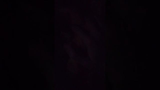 спасение детей из 99 ночей в лесу