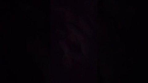 спасение детей из 99 ночей в лесу