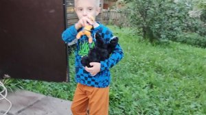 мы в деревне