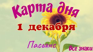 Карта дня ❄1 декабря 🎄☃️Пасьянс. Тайм-код в описании🦢